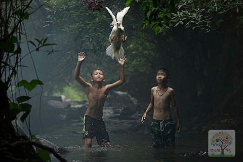 nature