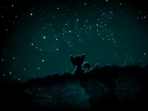 Stars