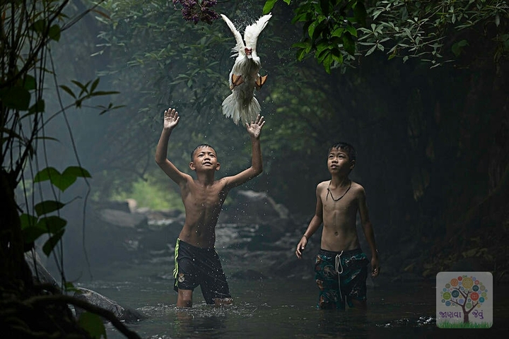 nature