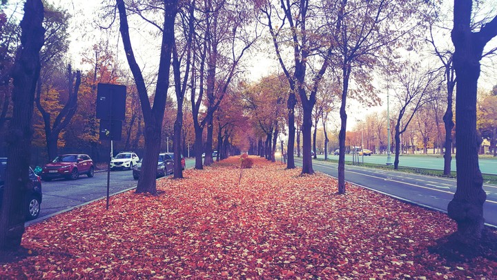 Autumn #1