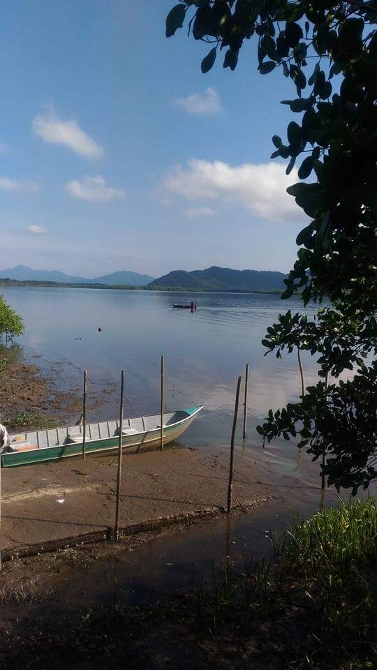 paisagem