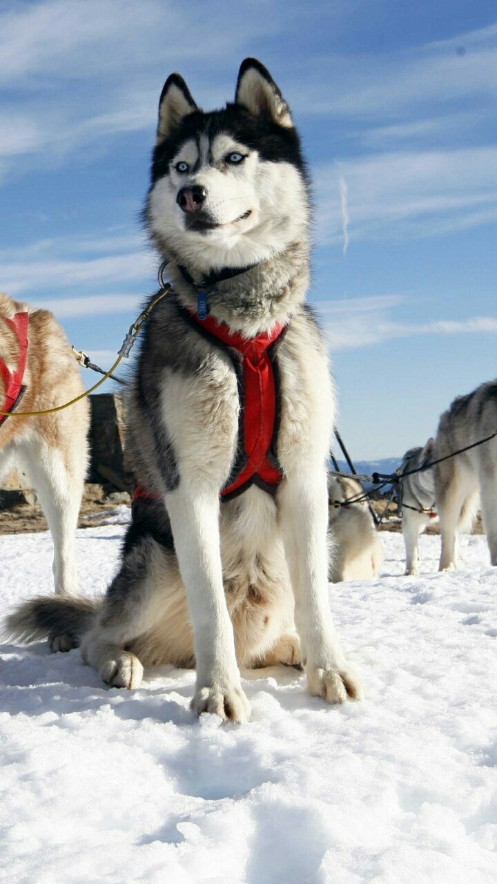 ❤️ ❤️