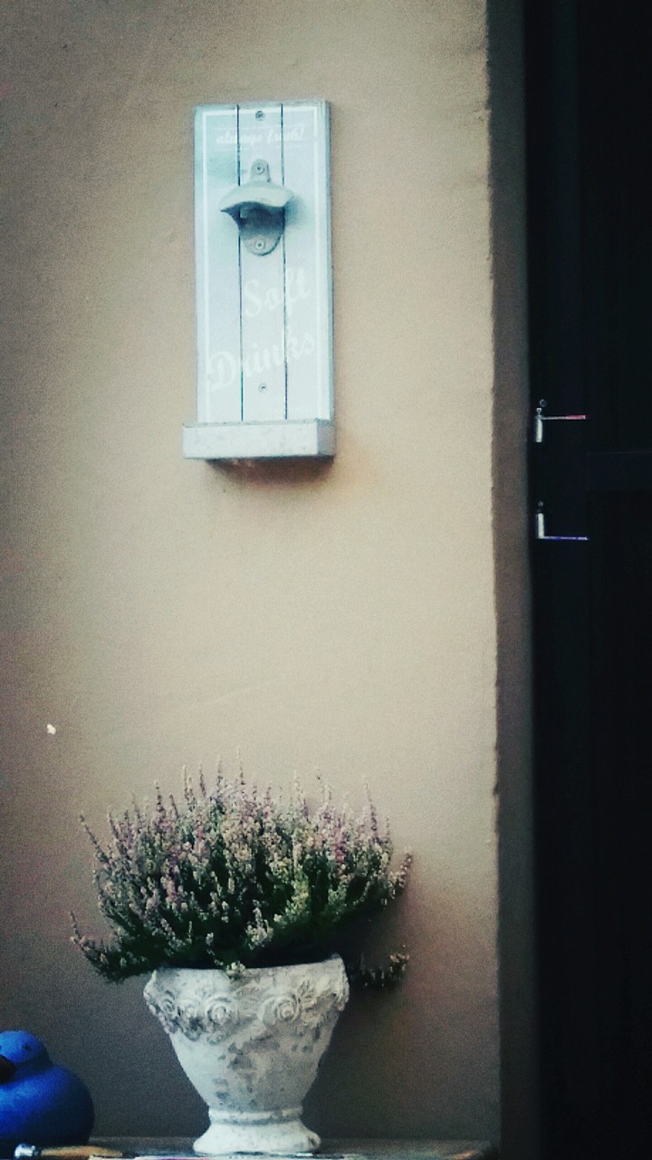 blume