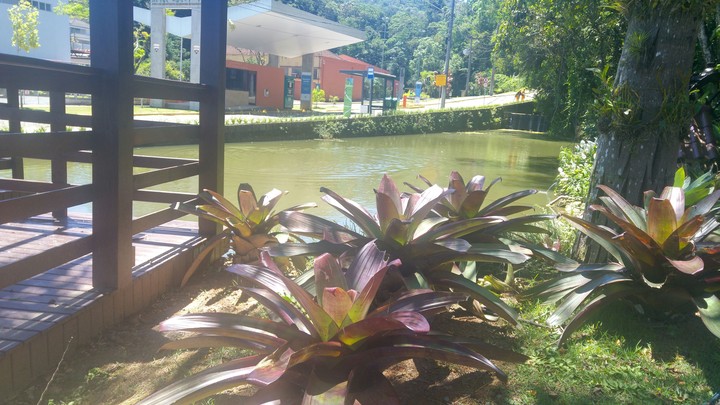 Lugar
