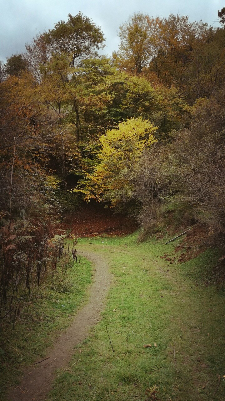 fall