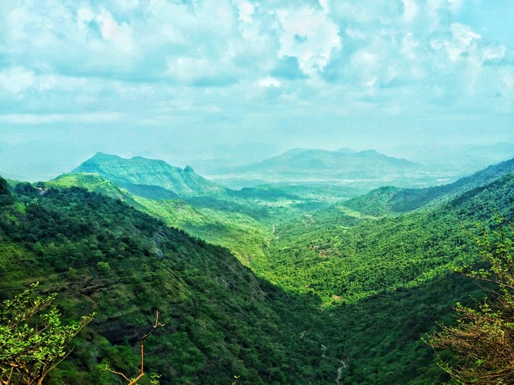 Nature