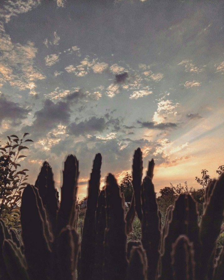 sky