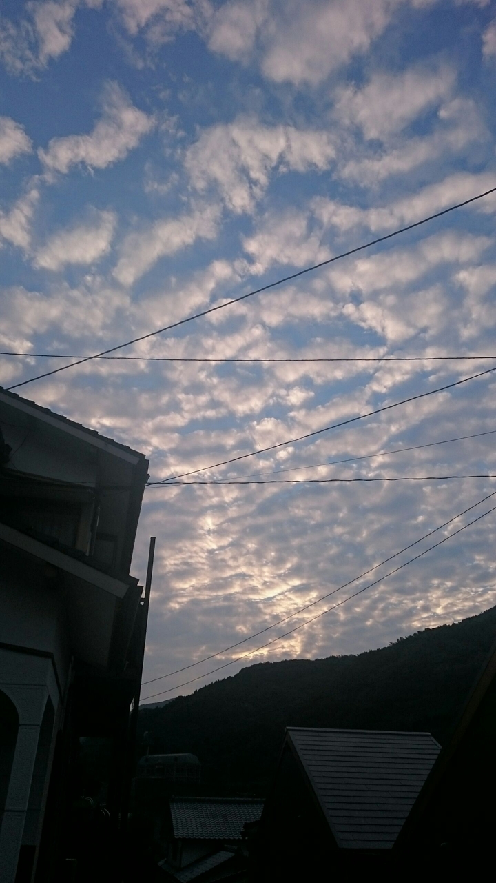 うろこぐも
