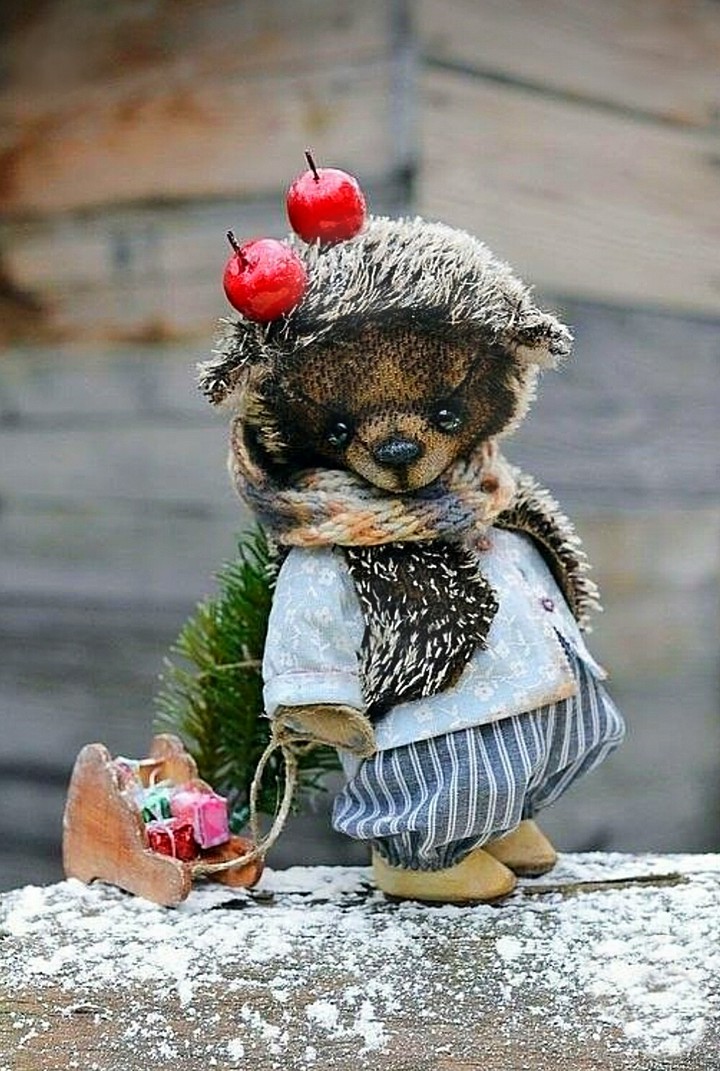 Ёжик лапочка ❤️