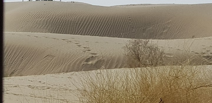 Desert