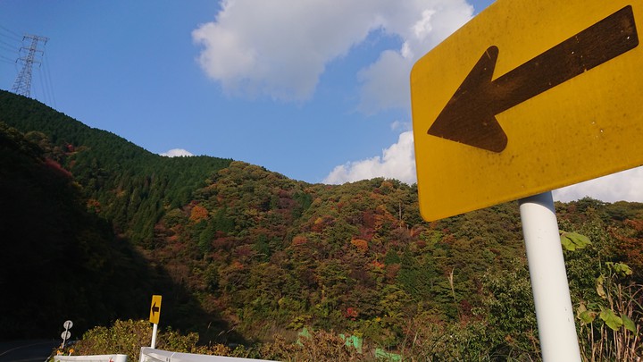 autumn