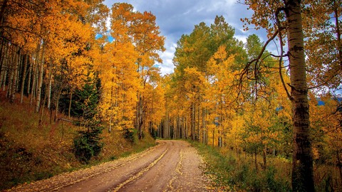 papéis de parede Wilderness, landscapes