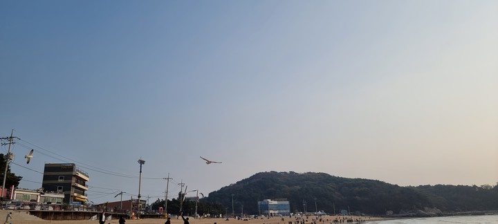 여행