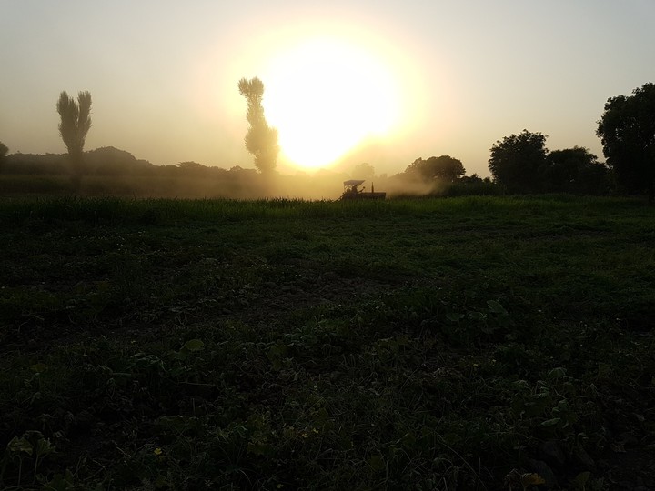 sun set