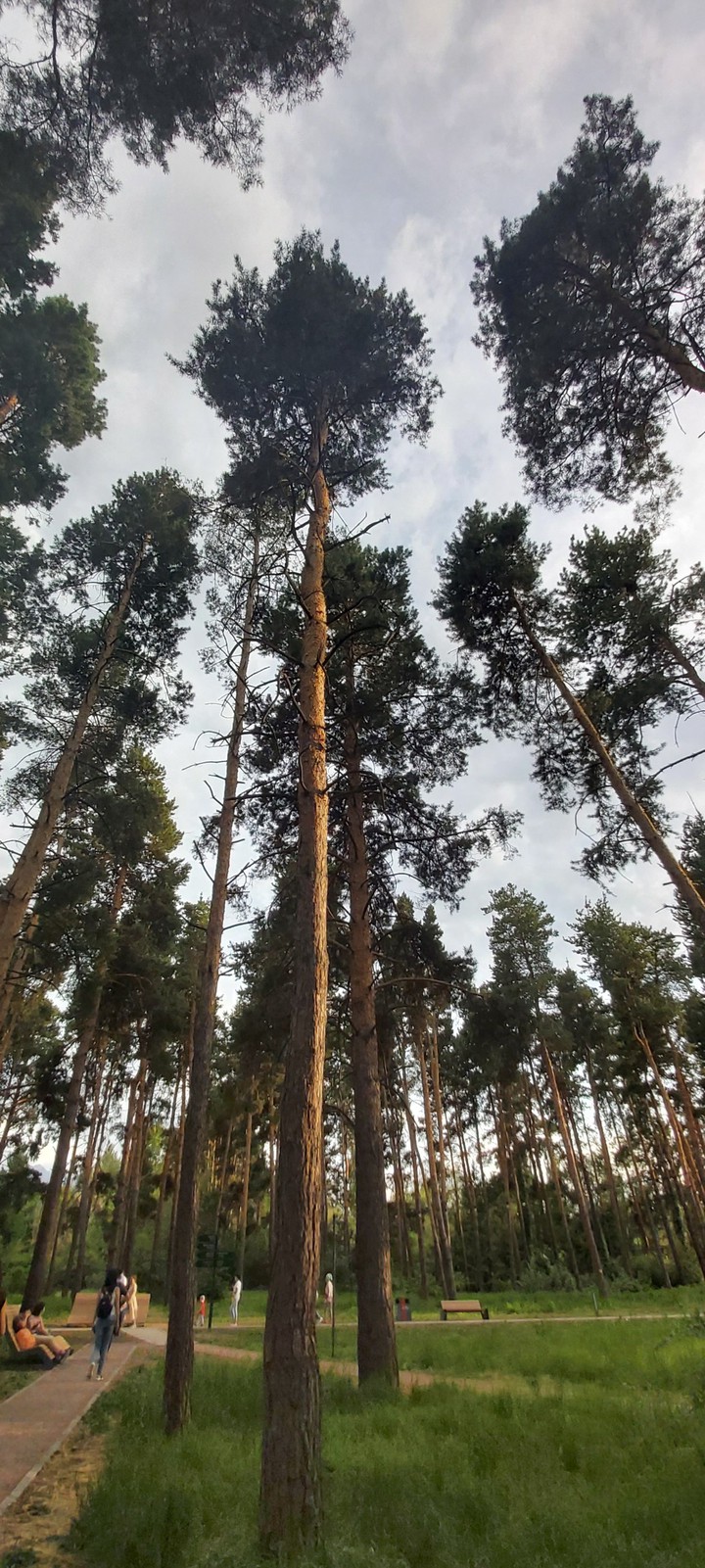 #nature #naturelovers #nature_perfection