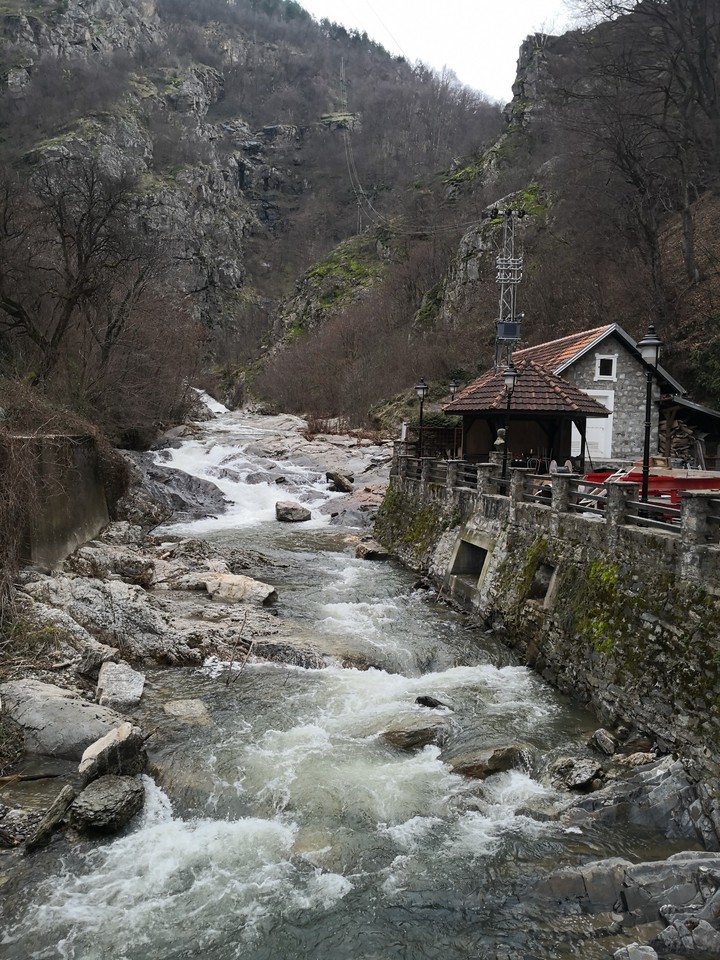 Vučjanka