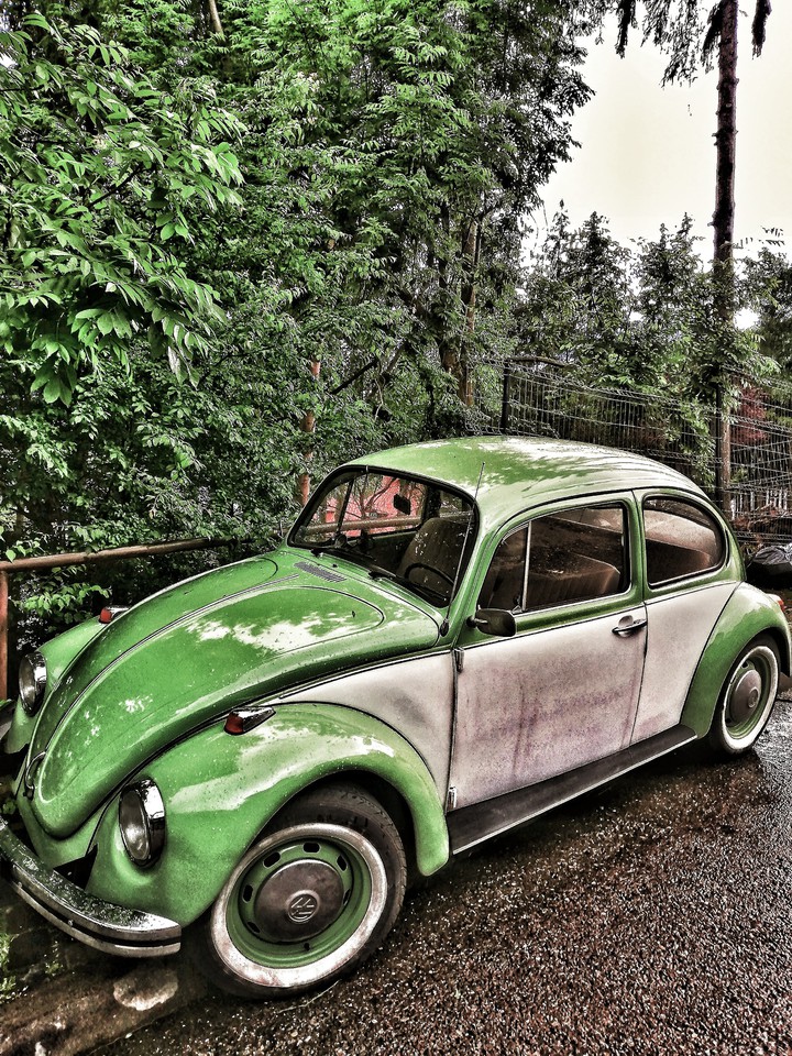 vw kafer