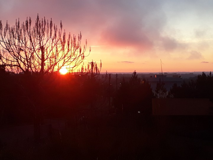 sol