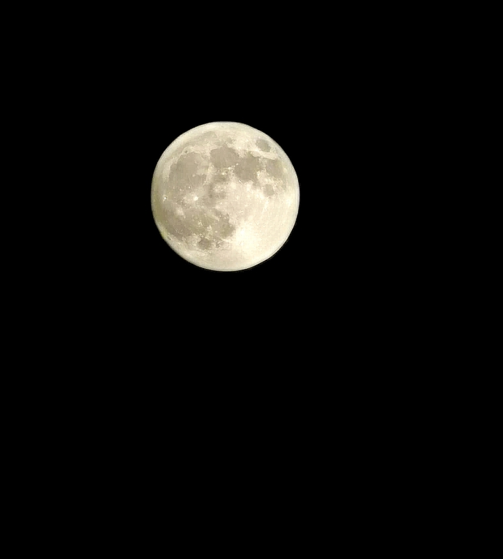 walk on the moon