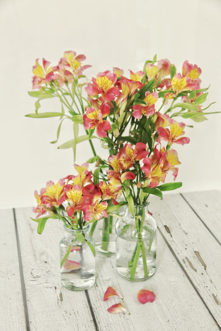 Spring with flowers