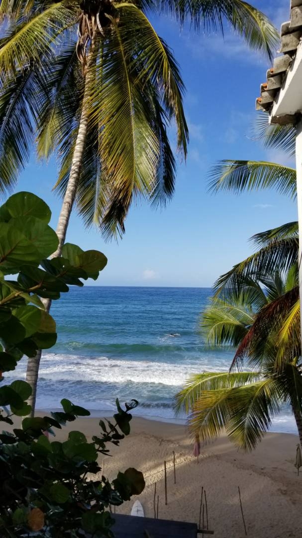 Amazing Caribbean