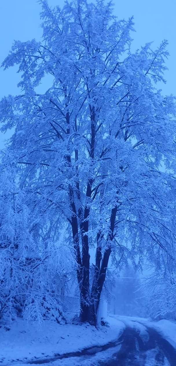 Winter