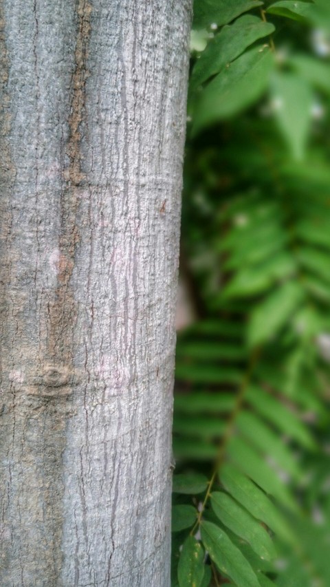 Closer to nature