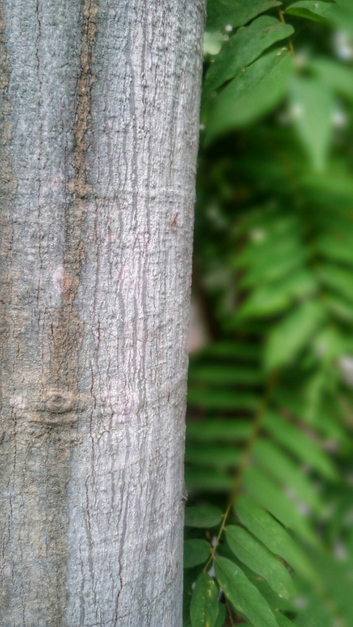 Closer to nature