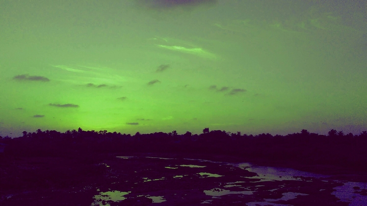 NATURE
