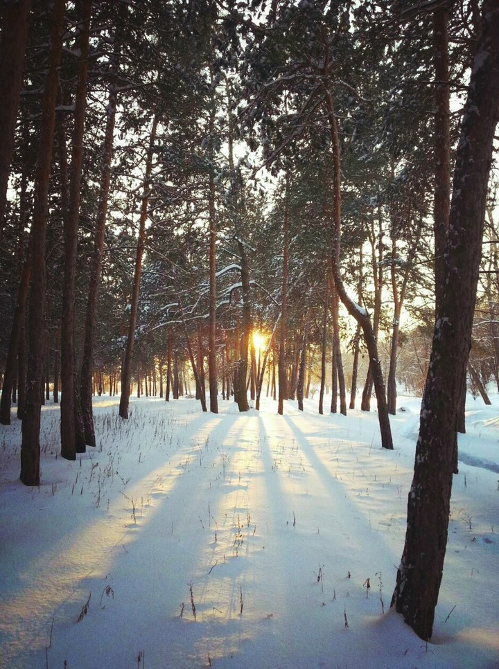 frost and sun, a wonderful day