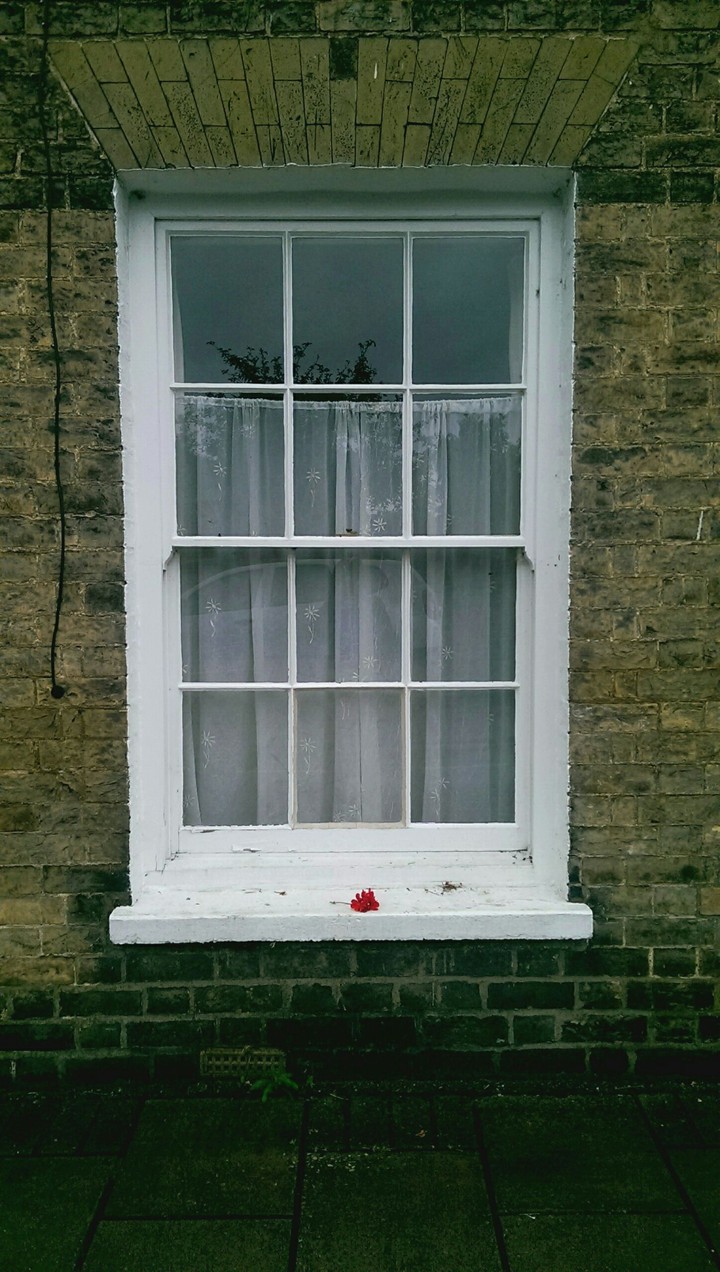 window