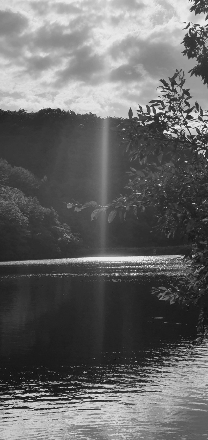 Black nature