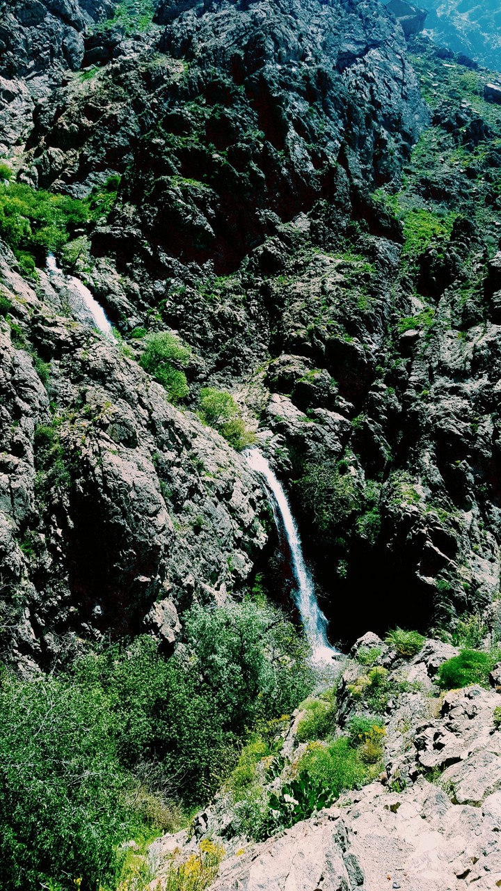 iran