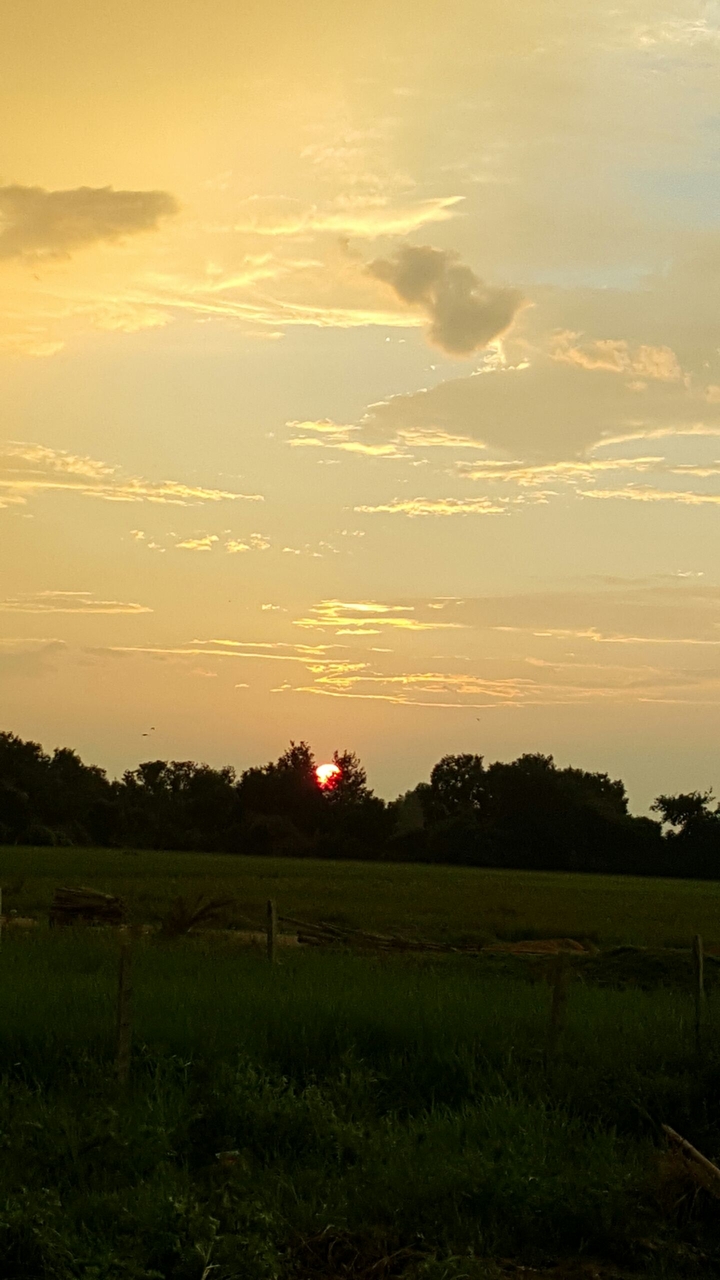 Prairie-Field