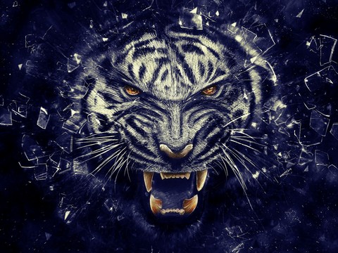 "Tiger"