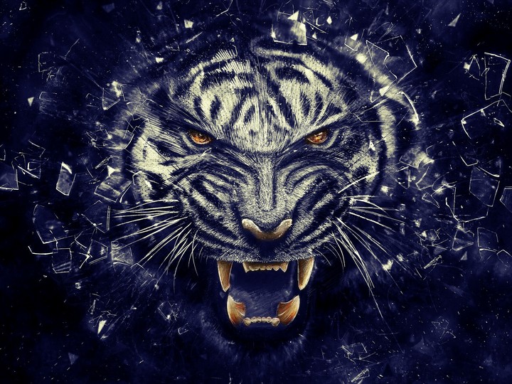 "Tiger"