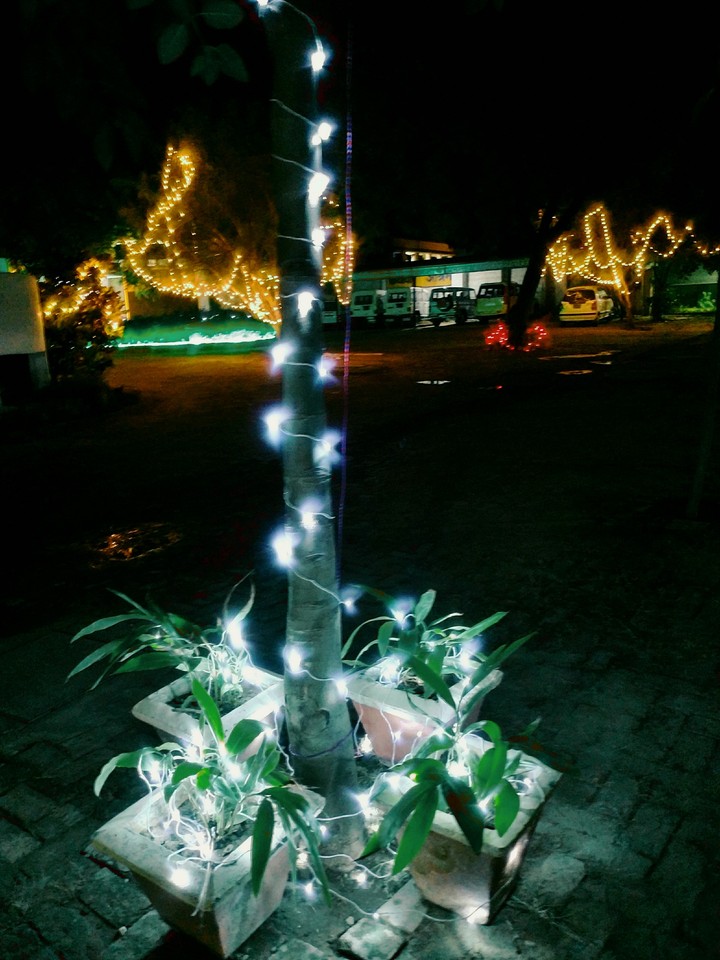 Diwali decorations
