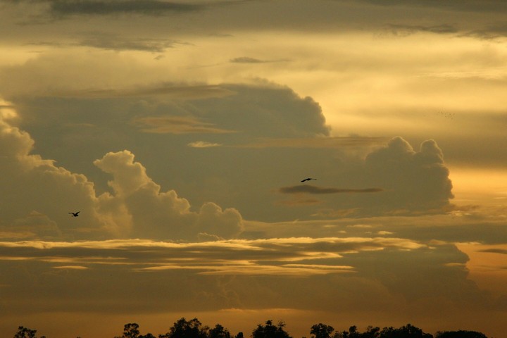 warm skies.