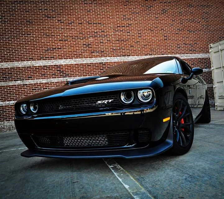 Dodge