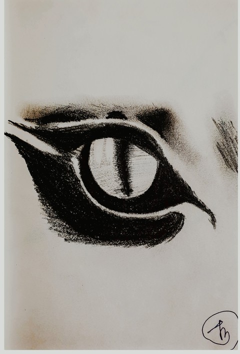 Cat Eye