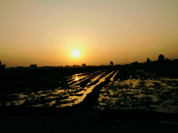 Good Evening