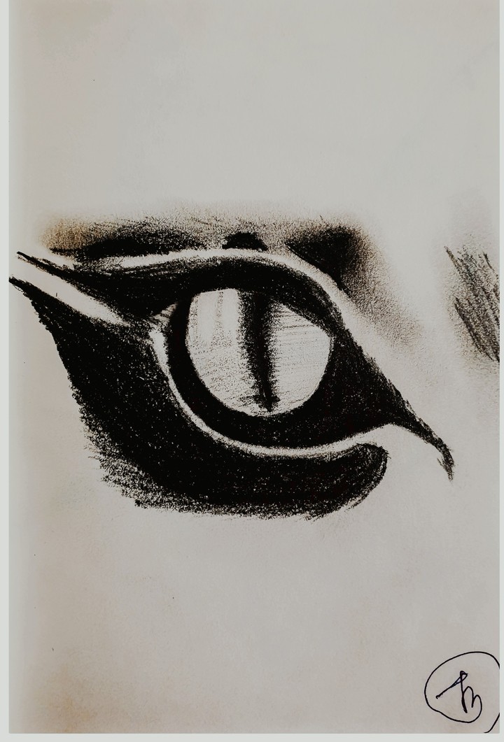 Cat Eye