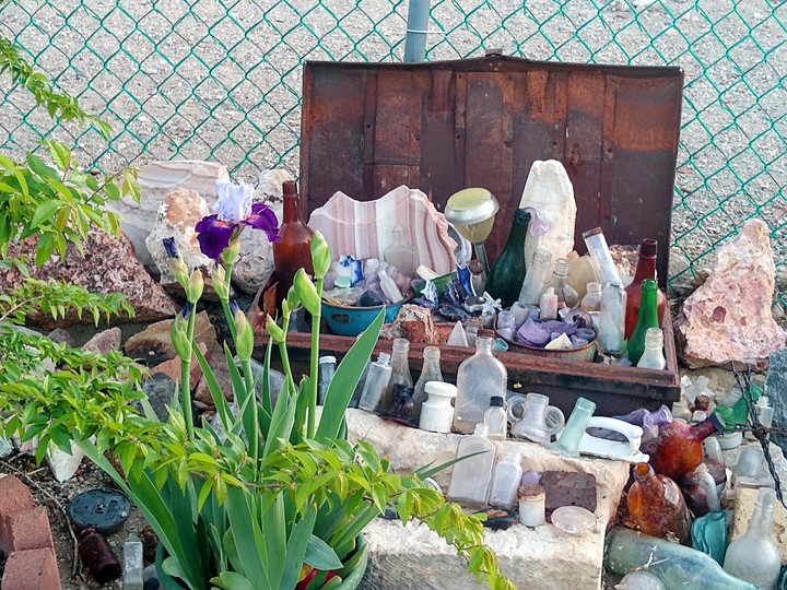 Backyard Treasures