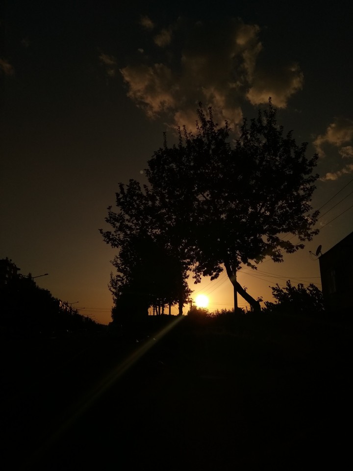 Gün (eş)..