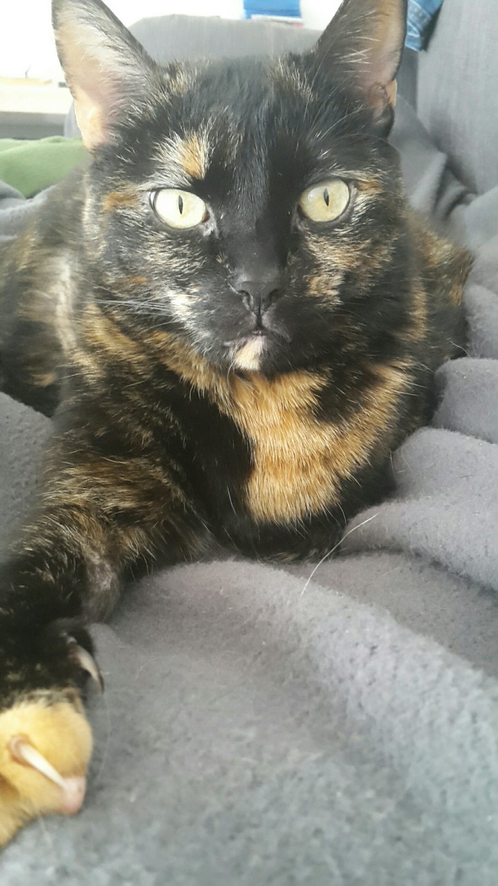 Chiquita