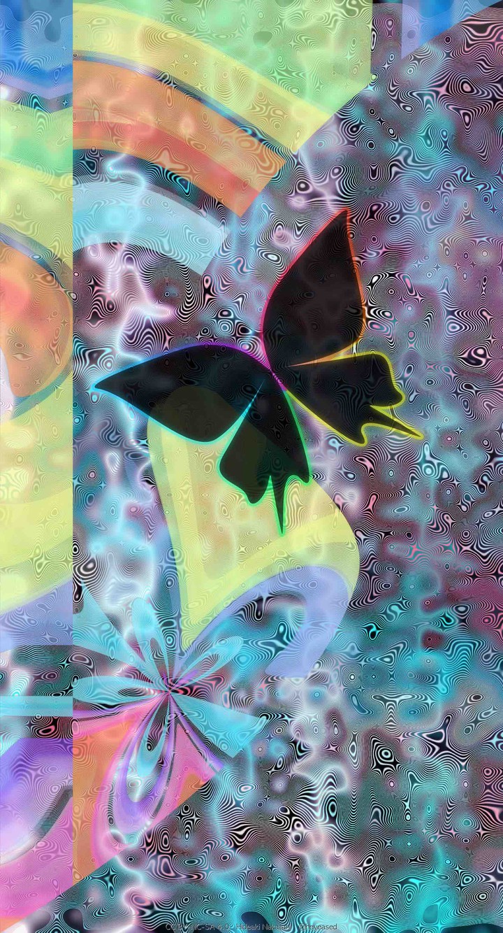 butterfly