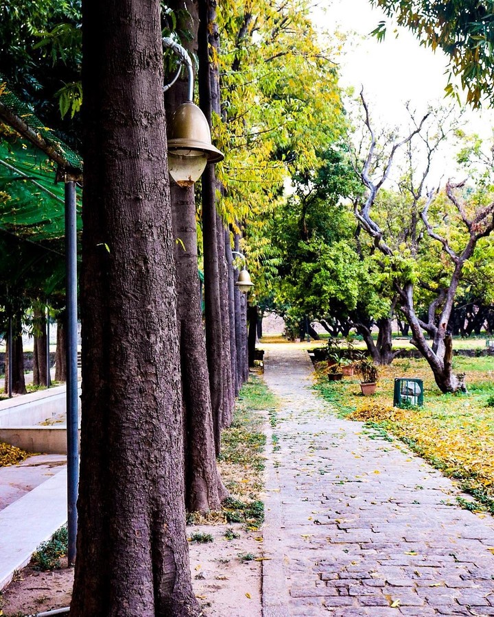 Though you may be under a dark tree,always looking for light