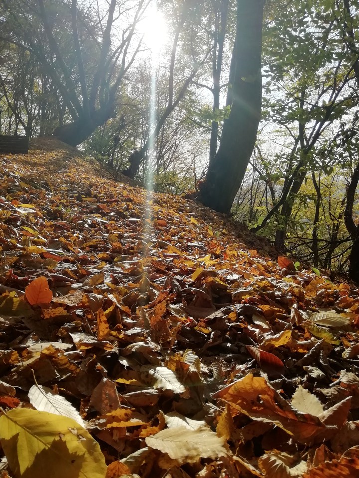 Осень