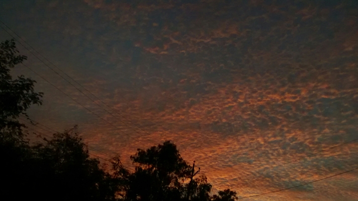 Golden clouds