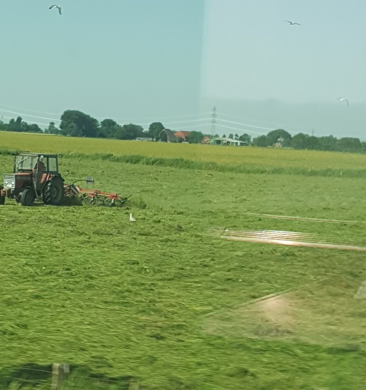 Landwirtschaft